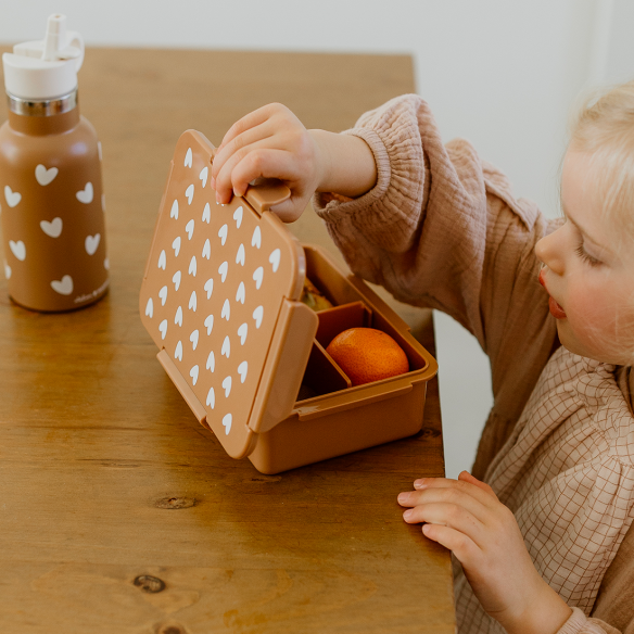 Boite à lunch