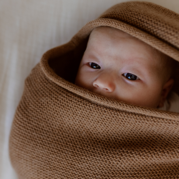 Cocon de naissance